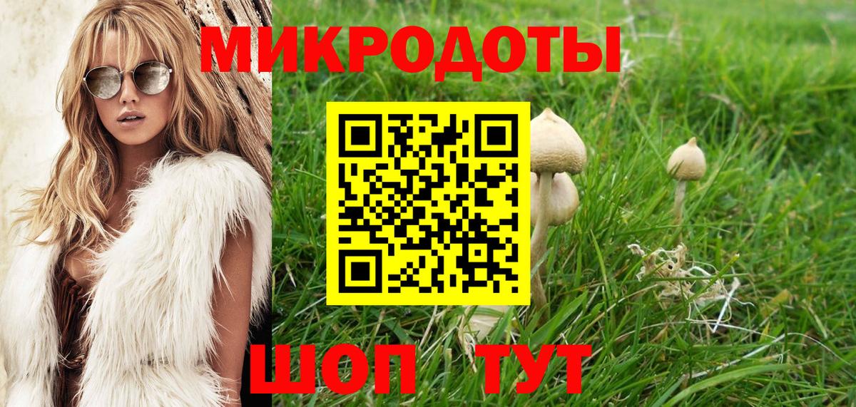 Псилоцибиновые грибы мицелий  Вход с VPN  Топки  Псилоцибиновые грибы прущие грибы 